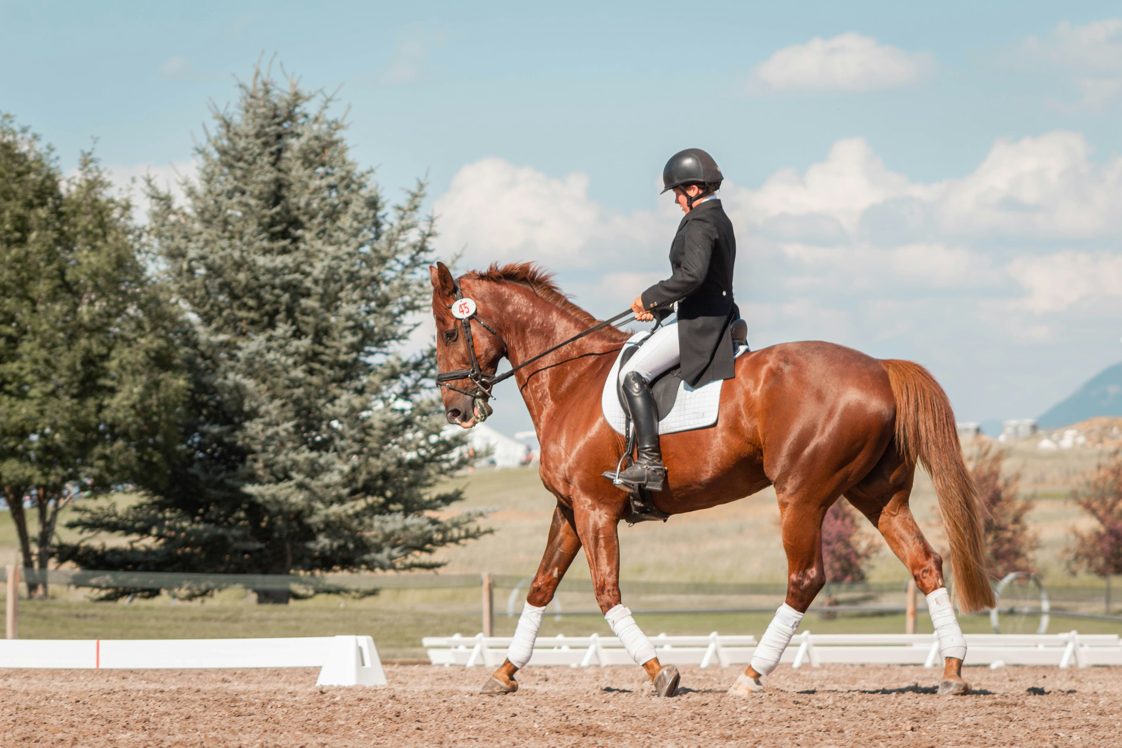 Ruiter op paard in de rijbaan