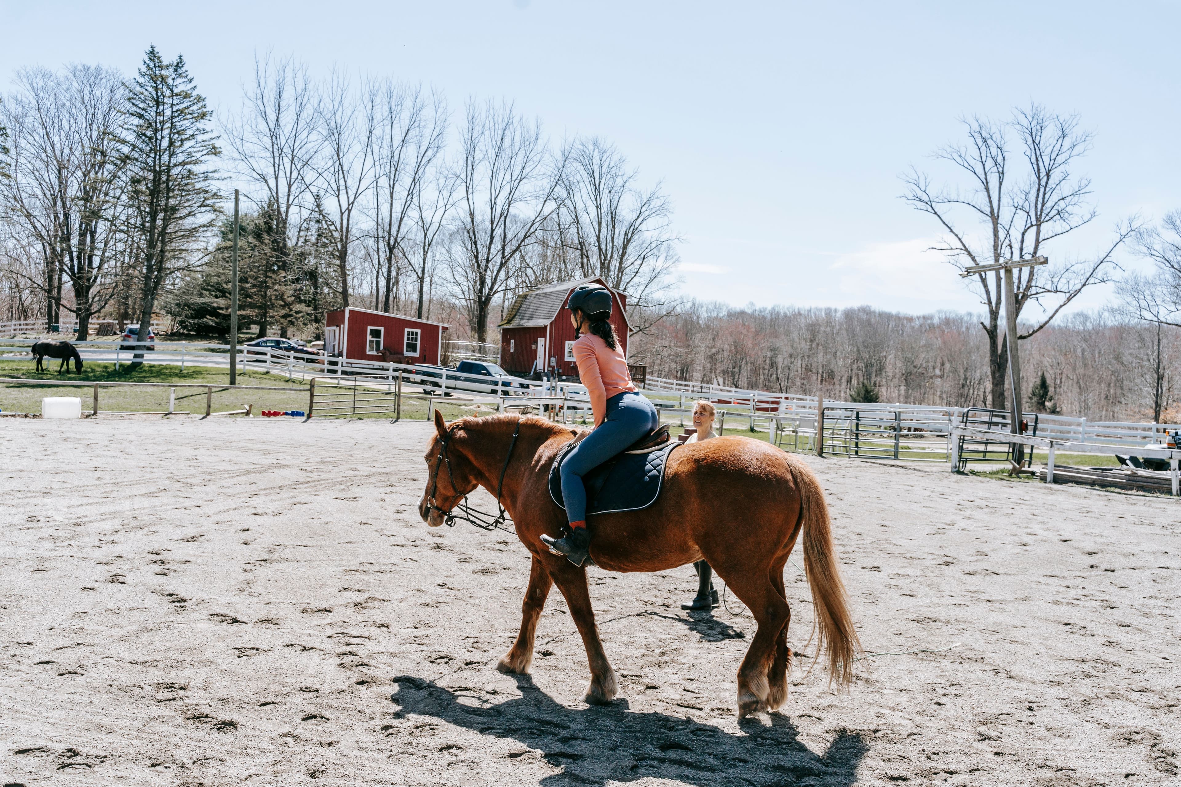 Ruiter op paard in de manege